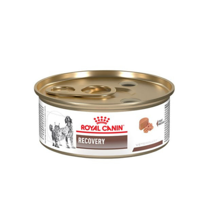 Royal Canin Lata Recovery 145 gr