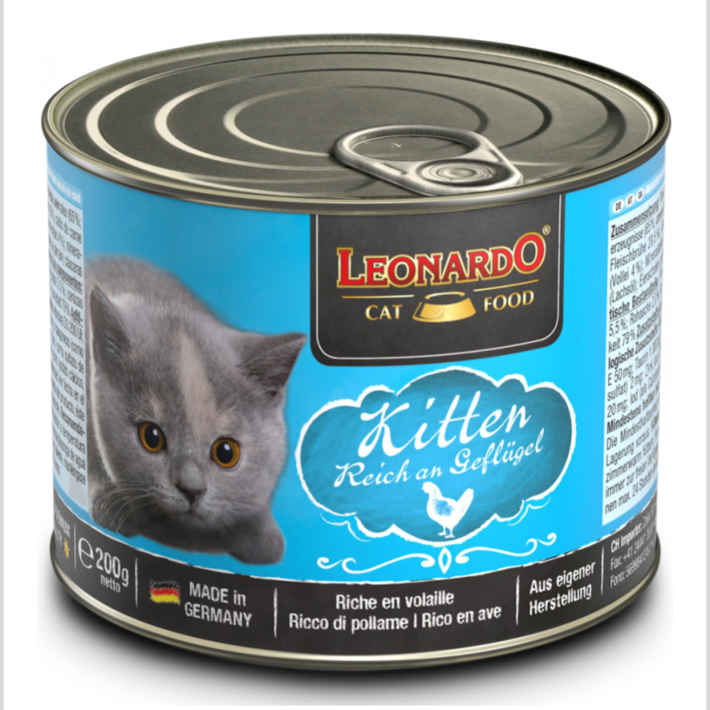 Leonardo Lata Kitten