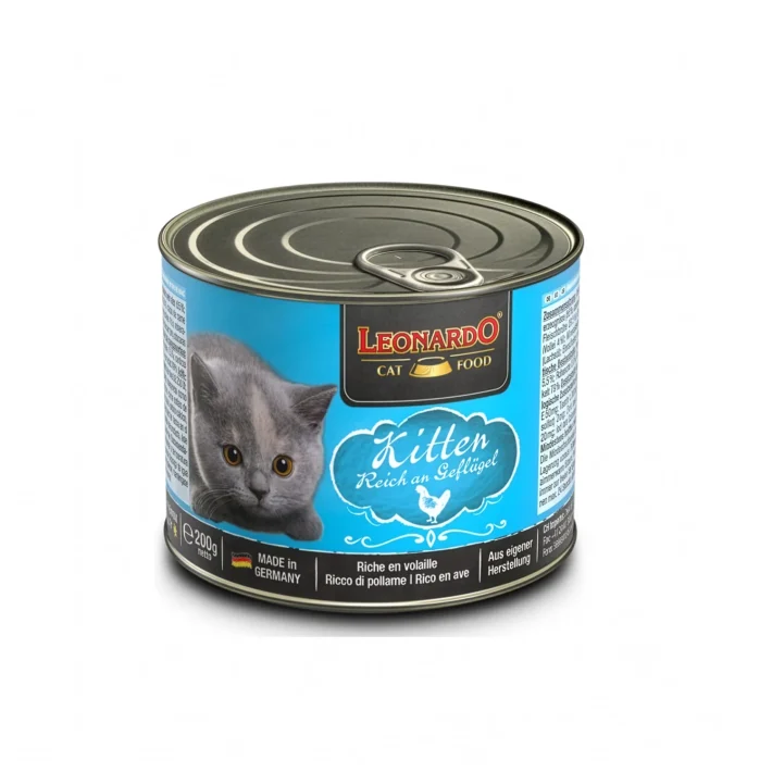 Leonardo Lata Kitten